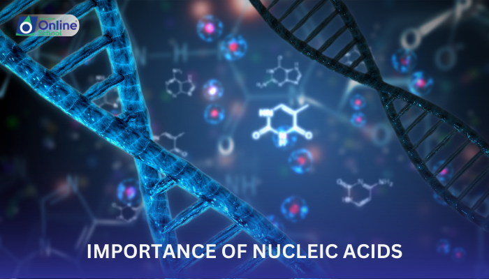 Lesson 05: Importance of Nucleic Acids